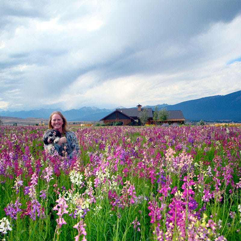 Quick Blooming Wildflower Seed Collection - Image 6